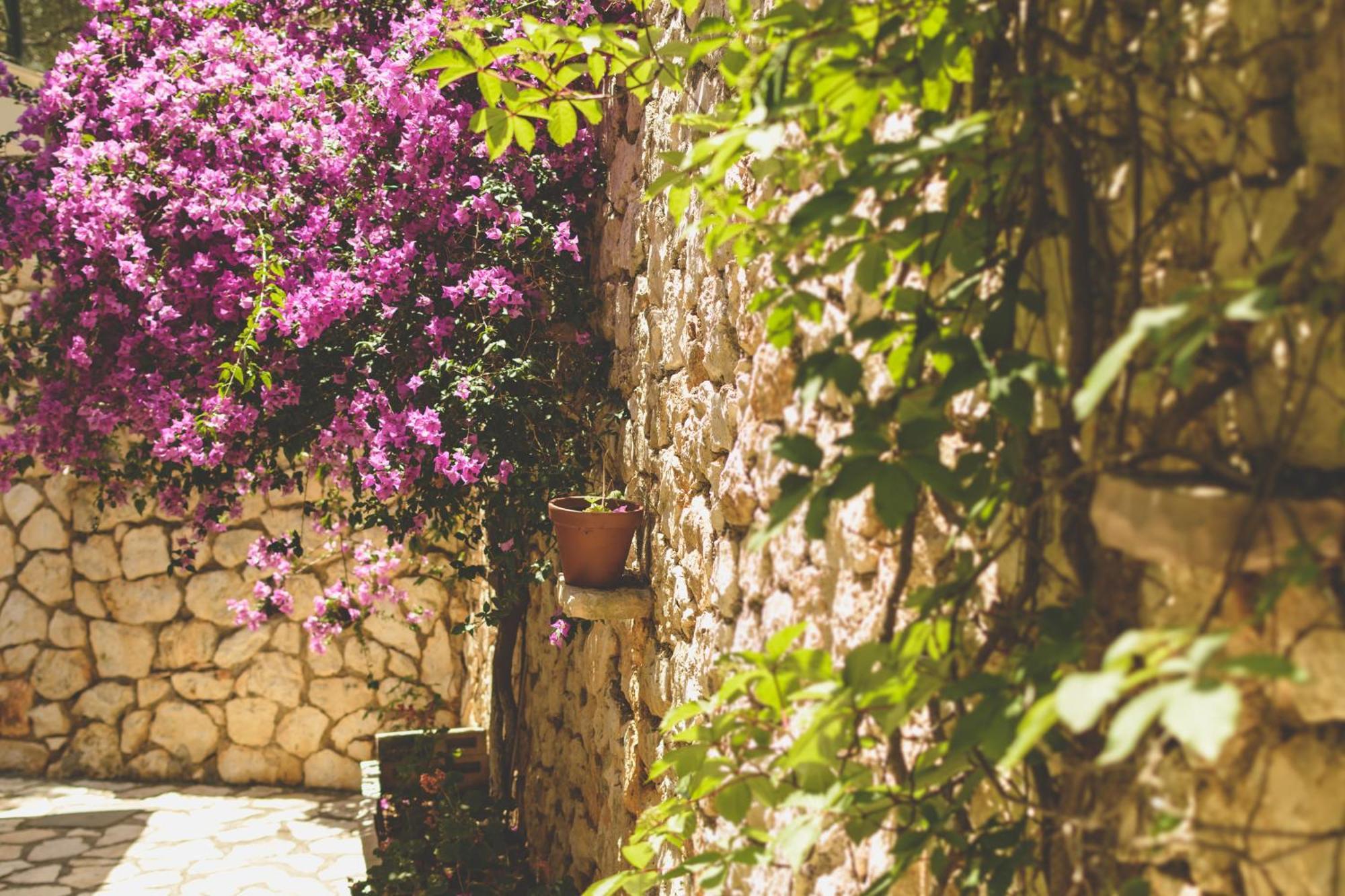 Althea Studios Lefkada Áyios Nikítas Rom bilde